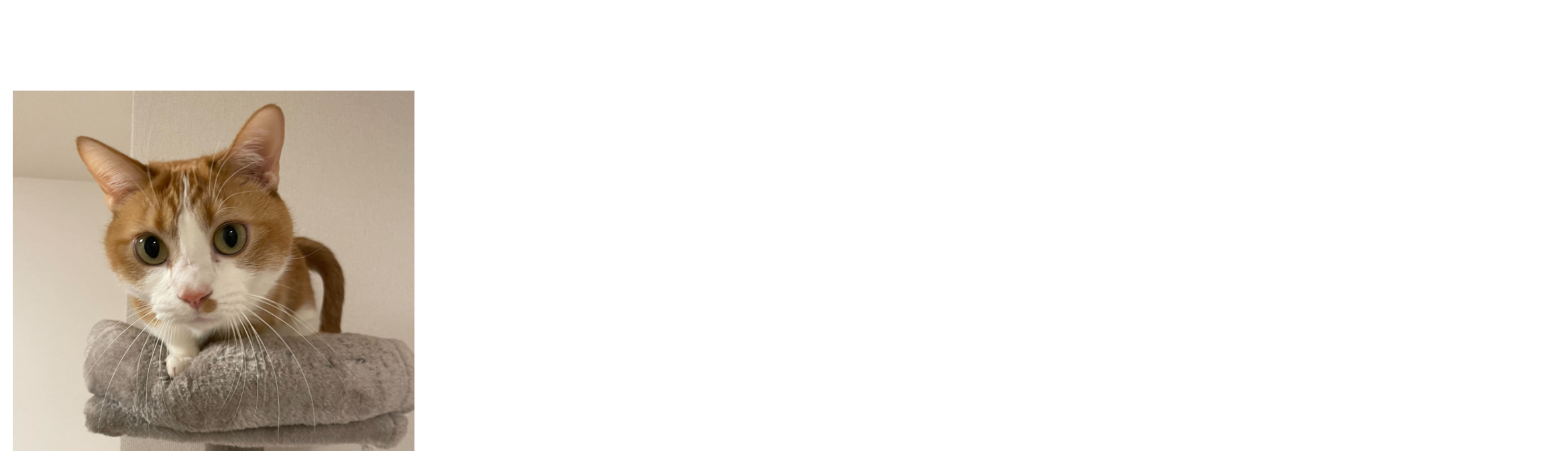画像5.png